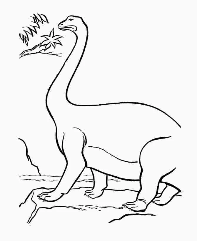 Apatosaurus Coloring Pages 50