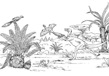 Archaeopteryx Coloring Pages 13