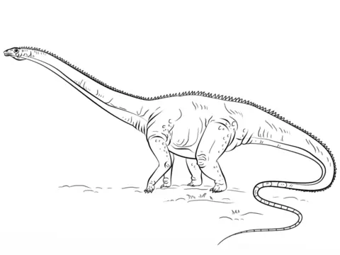 Diplodocus Coloring Pages 9