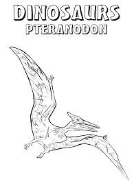 Pteranodon Coloring Pages 10