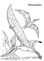 Pteranodon Coloring Pages 11