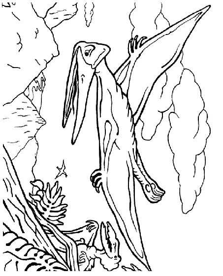 Pteranodon Coloring Pages 15