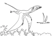 Pteranodon Coloring Pages 2