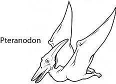 Pteranodon Coloring Pages 3