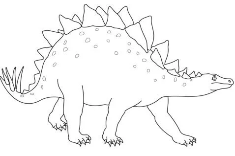 Stegosaurus Coloring Pages 11