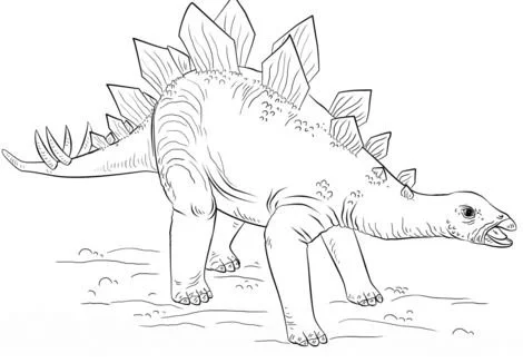 Stegosaurus Coloring Pages 8