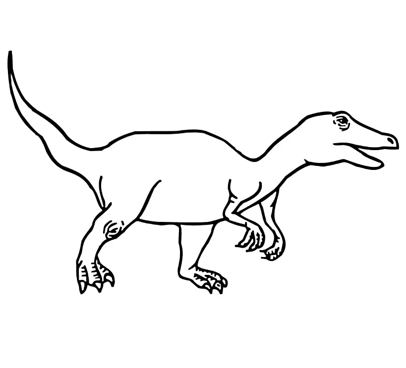 Velociraptor Coloring Pages 8